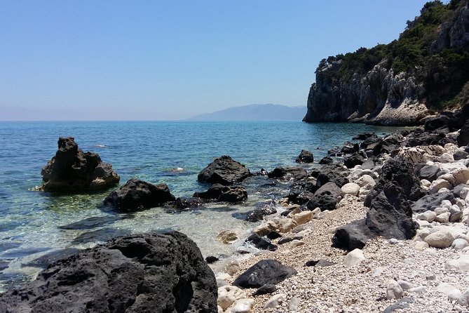 Snorkeling Experience to discover the dolphin inside you! - Returning to shore for fish and plant identification