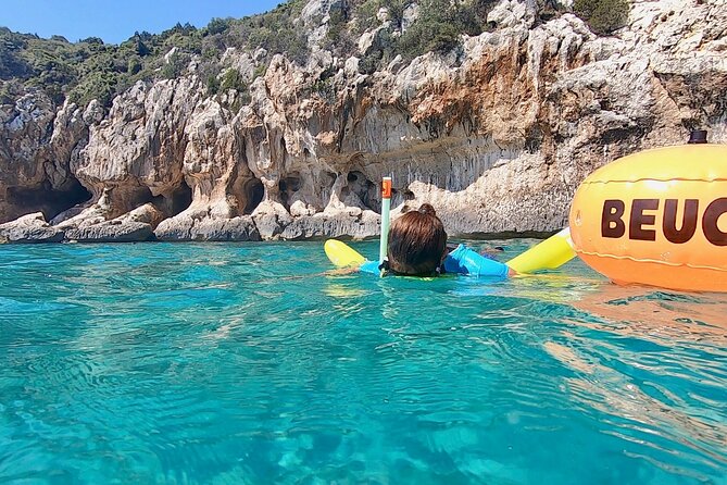 Snorkeling Experience to discover the dolphin inside you! - What the $46.10 price gets you