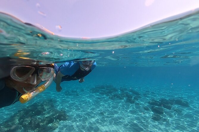 Snorkeling Experience to discover the dolphin inside you! - Who will enjoy this Cala Gonone outing