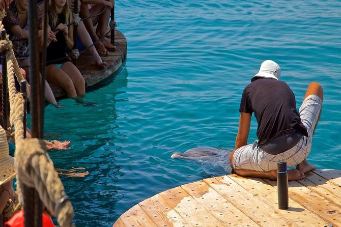 Snorkeling Trip At Satayh Dolphin Reef - Swimming Near 60 to 80 Spinner Dolphins