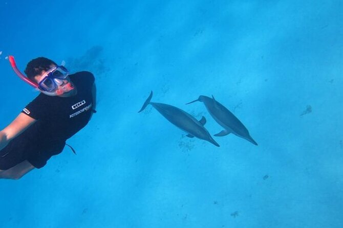 Snorkeling with Dolphins & Lunch In Sataya Reefs From Marsa Alam - The early pickup and drive from Marsa Alam