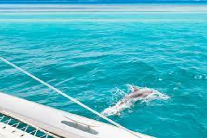 Snorkeling with Dolphins & Lunch In Sataya Reefs From Marsa Alam - Two snorkeling stops at Sataya Reef