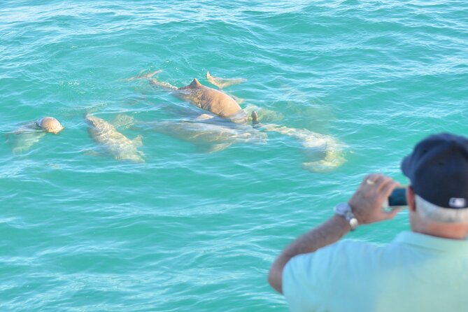 Snubfin Dolphin Eco Cruise from Broome - Is $110.24 a fair price?