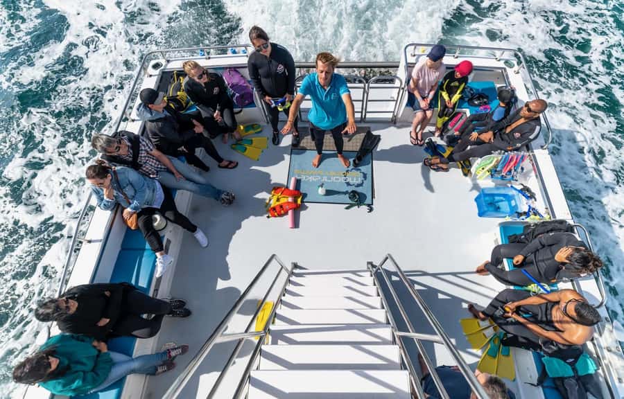Sorrento: Dolphins & Seals Snorkeling Cruise w/ Lunch - What the three-hour schedule feels like