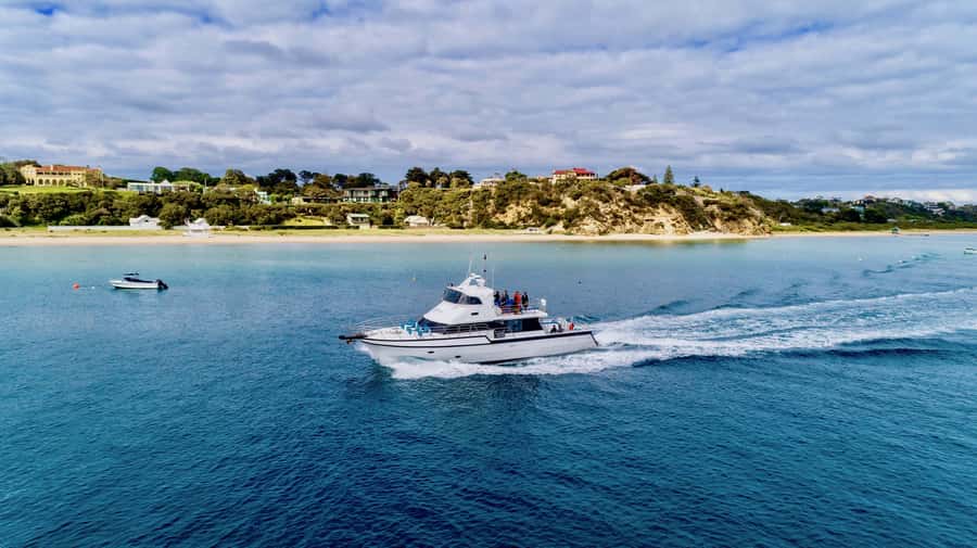 Sorrento: Dolphins & Seals Snorkeling Cruise w/ Lunch - Should you book the Sorrento dolphin and seal cruise?