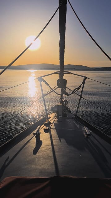 Sotogrande: Dolphin Watching Boat Trip with Drink - Should you book the Sotogrande dolphin trip?
