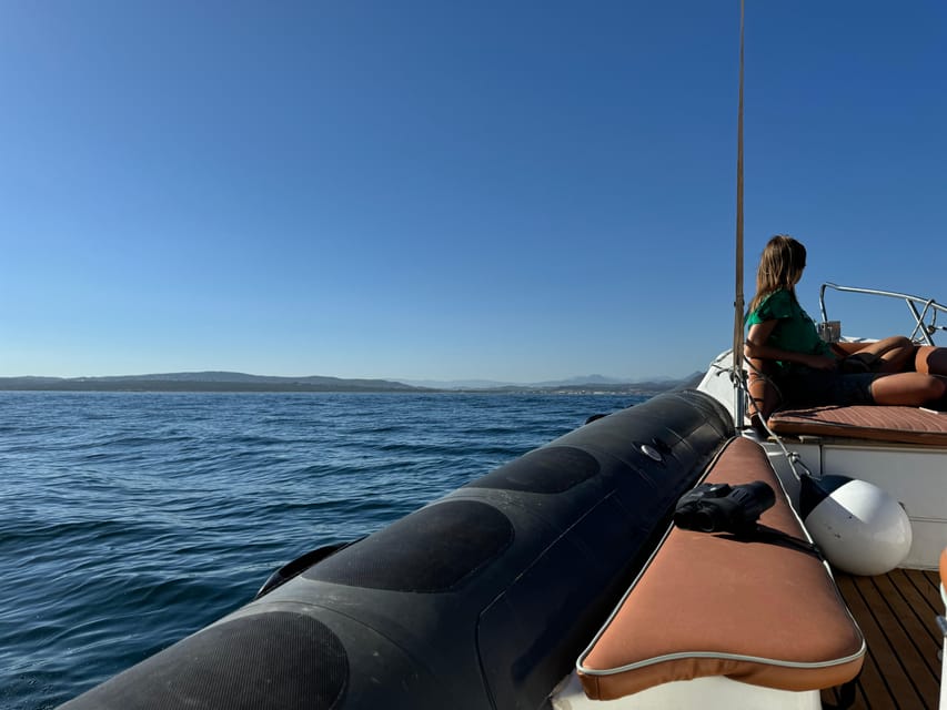 Sotogrande: Dolphin watching experience with expert crew - Why Sotogrande is a strong place for dolphin watching