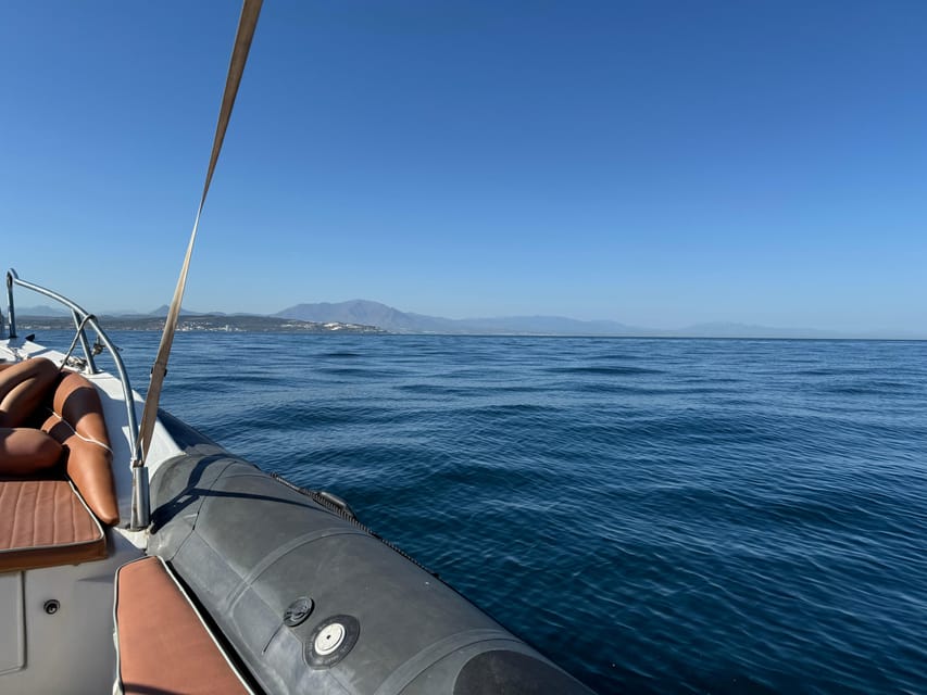 Sotogrande: Dolphin watching experience with expert crew - The crew’s marine-life masterclass