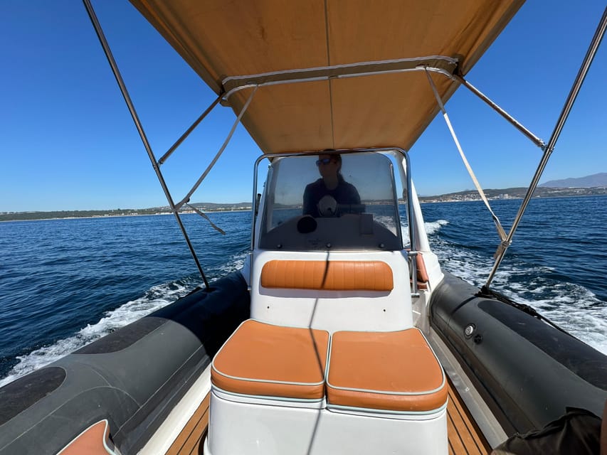Sotogrande: Dolphin watching experience with expert crew - Family appeal and comfort on the water