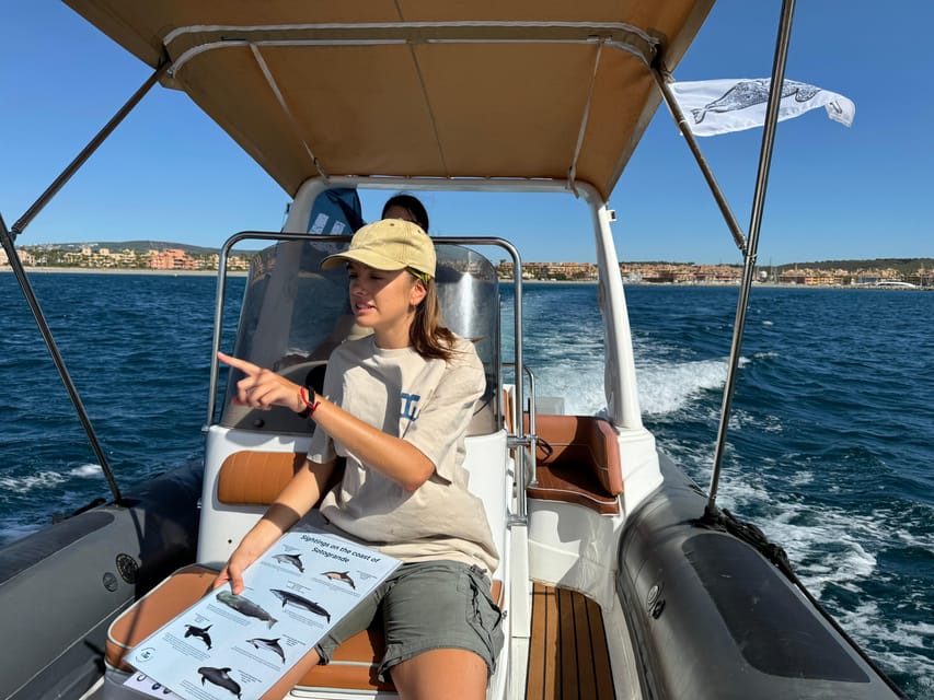 Sotogrande: Dolphin watching experience with expert crew - The 150-minute route toward the Strait