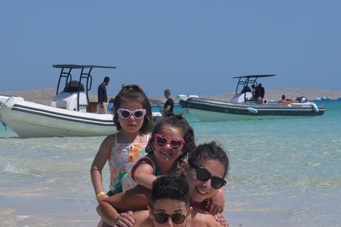 Speed Boat 4 Hours Swim Dolphin, Orange Island ,Snorkeling - The dolphin question