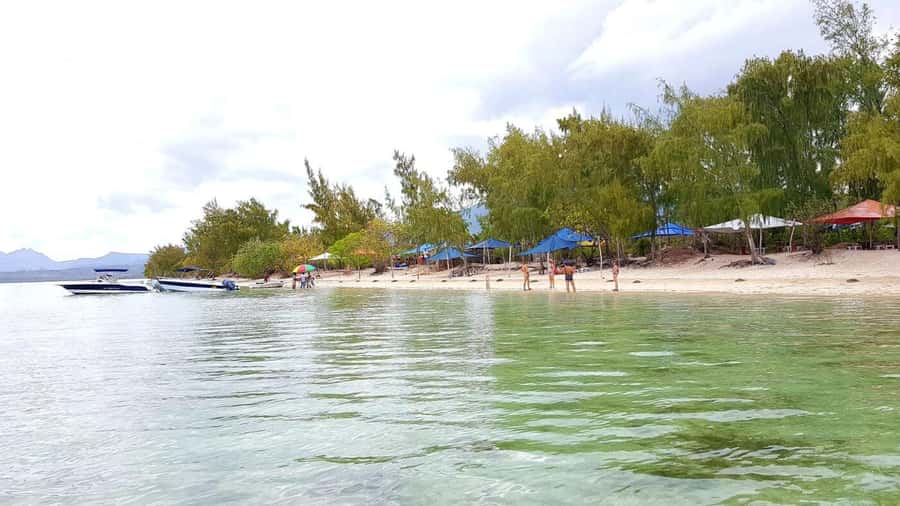 Speedboat to Ile aux Benitier: Dolphin Encounter & Lunch - Key points to know before booking