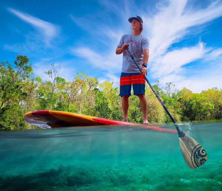 St. Augustine: Dolphin and Manatee Paddle or Kayak Tour - A wildlife trip, not a guaranteed dolphin show