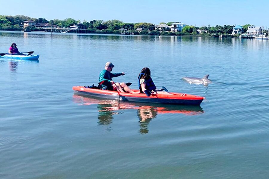 St. Augustine: Dolphin and Manatee Paddle or Kayak Tour - Starting at Lighthouse Park
