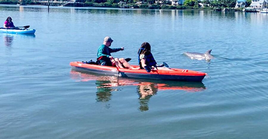 St. Augustine: Dolphin and Manatee Paddle or Kayak Tour - Following the waterways toward Anastasia State Park