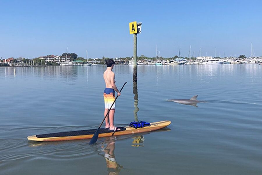 St. Augustine: Dolphin and Manatee Paddle or Kayak Tour - Who should book this St. Augustine paddle?