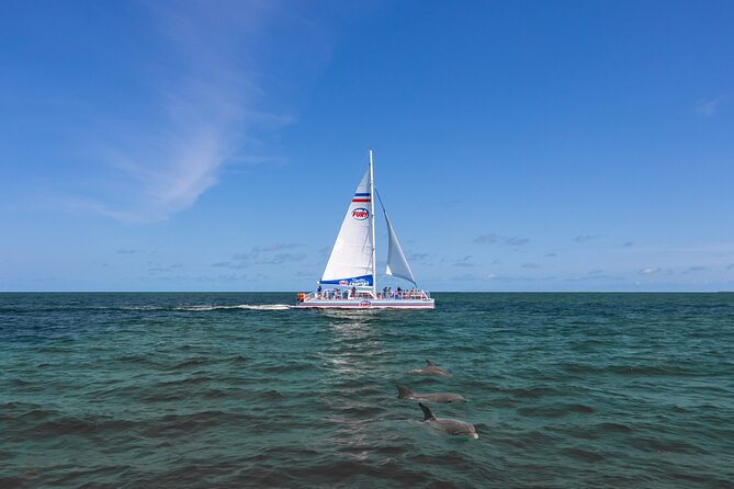 St. Augustine Dolphin Watch and Historical Harbor Tour - Setting out from Vilano Beach