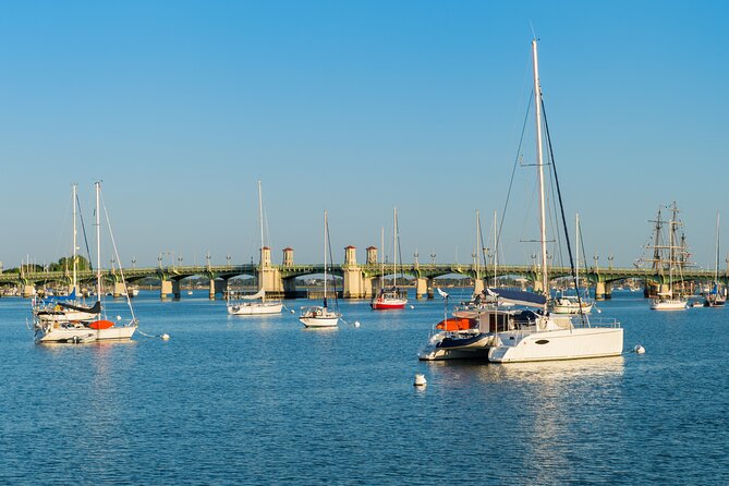 St. Augustine Dolphin Watch and Historical Harbor Tour - What is included on the catamaran