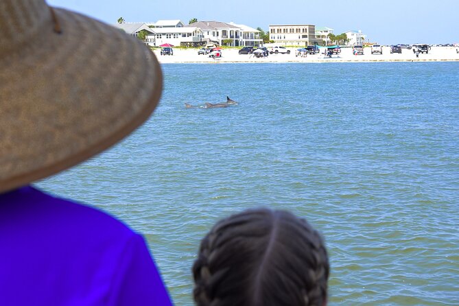 St. Augustine Dolphin Watch and Historical Harbor Tour - Is $42.55 a fair price?