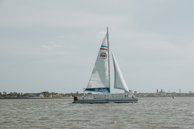 St. Augustine Dolphin Watch and Historical Harbor Tour - Age rules, weather, and cancellation details