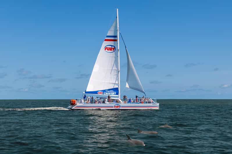 St. Augustine: Dolphin Watching Harbor Tour with Drinks - Key points to know before booking
