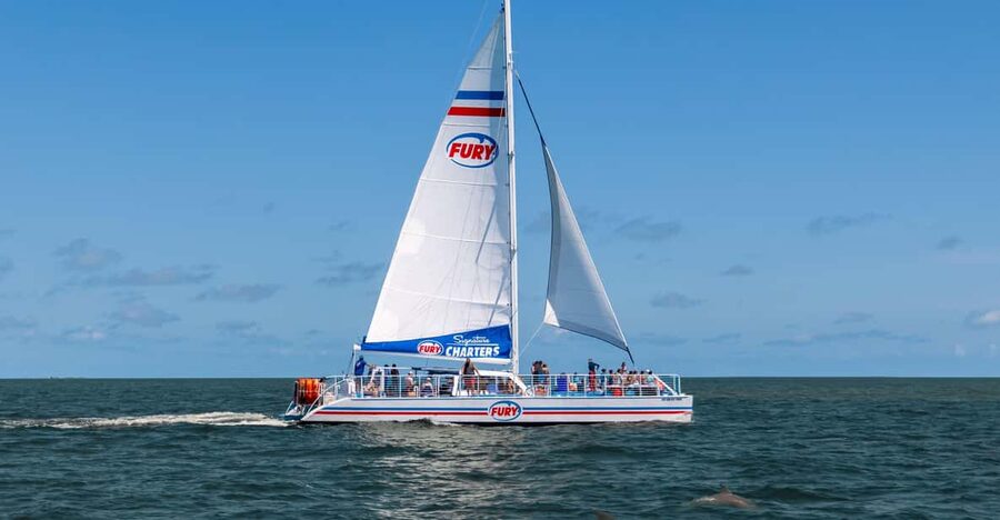 St. Augustine: Dolphin Watching Harbor Tour with Drinks - Watching bottlenose dolphins near Vilano Beach