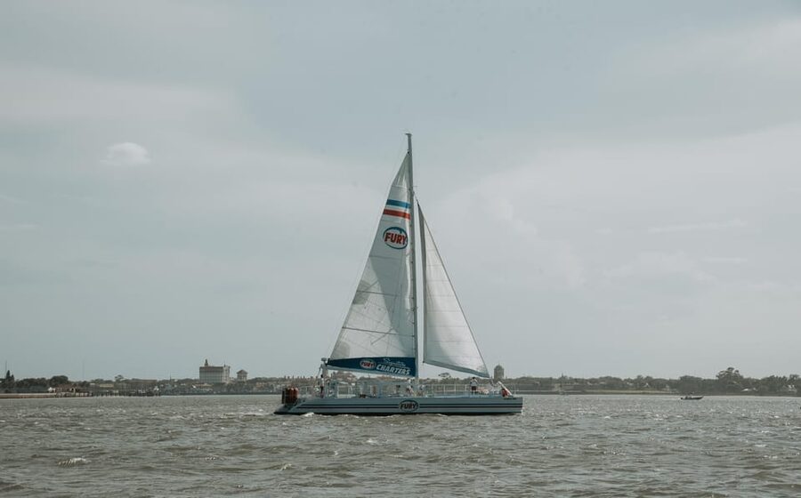 St. Augustine: Dolphin Watching Harbor Tour with Drinks - Seeing St. Augustine from the water