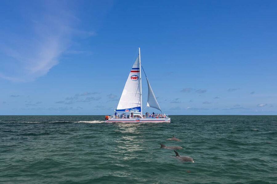St. Augustine: Dolphin Watching Harbor Tour with Drinks - Who will enjoy this cruise most