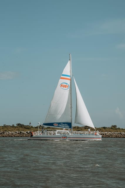 St. Augustine: Dolphin Watching Harbor Tour with Drinks - Booking details worth knowing