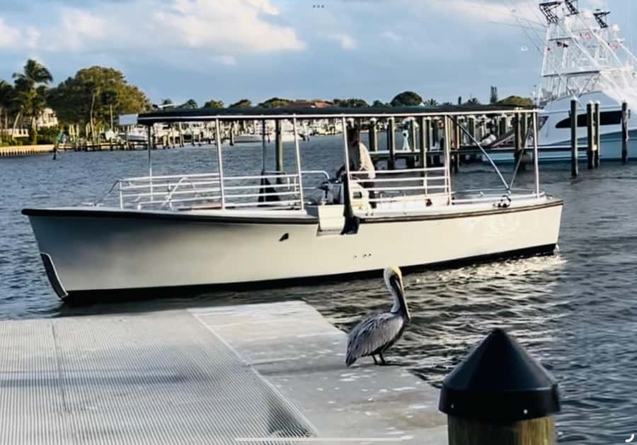 St. Augustine: Sunset Boat Tour with Dolphin Spotting - Simple planning advice before you go