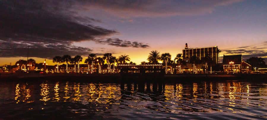St. Augustine: Sunset Boat Tour with Dolphin Spotting - Looking for Atlantic bottle-nosed dolphins