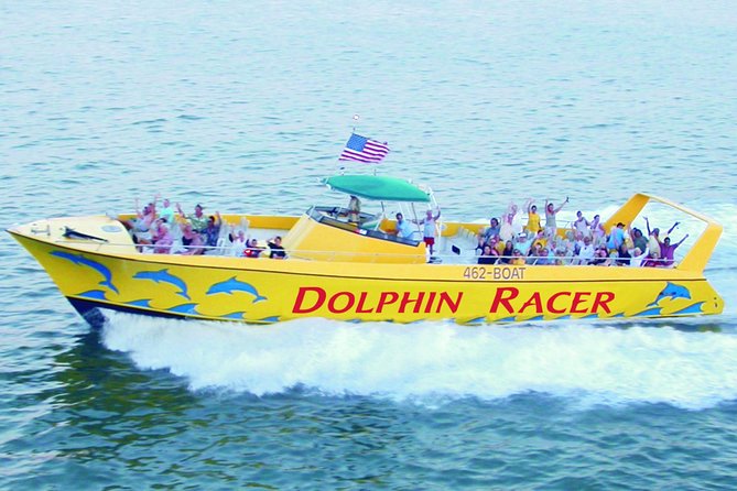 St. Pete Beach Dolphin Racer Adventure - A 90-minute search for dolphins near St. Pete Beach