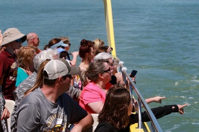 St. Pete Beach Dolphin Racer Adventure - Why the captain makes a difference