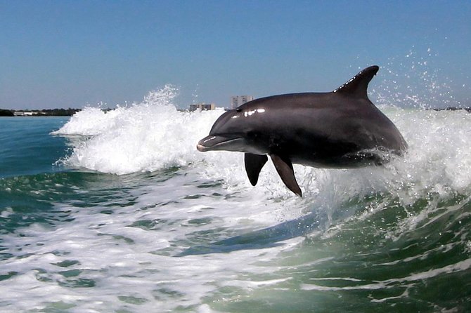 St. Pete Beach Dolphin Racer Adventure - What the boat ride feels like for families