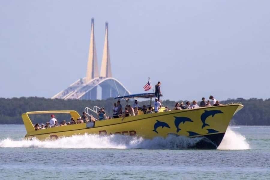 St. Pete Beach: Dolphin Racer Cruise by Speedboat - Watching bottlenose dolphins in the wake