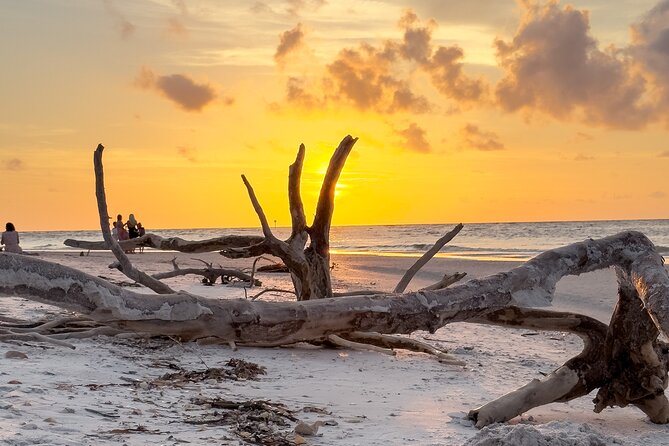 St. Pete Dolphin Watching and Island Sunset Cruise - Key points to know before booking