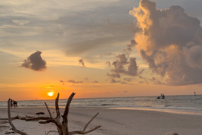 St. Pete Dolphin Watching and Island Sunset Cruise - Forty-five minutes on the island beach
