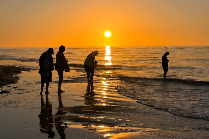 St. Pete Dolphin Watching and Island Sunset Cruise - Bridge views along the Pinellas Bayway