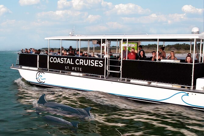St. Pete Dolphin Watching and Shelling Adventure - Key points to know before you book