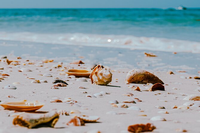 St. Pete Dolphin Watching and Shelling Adventure - Under the bridges toward the island