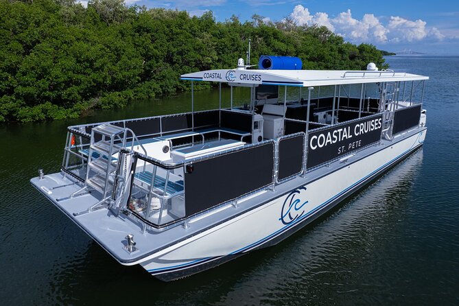 St. Pete Dolphin Watching and Shelling Adventure - Watching dolphins in the wild