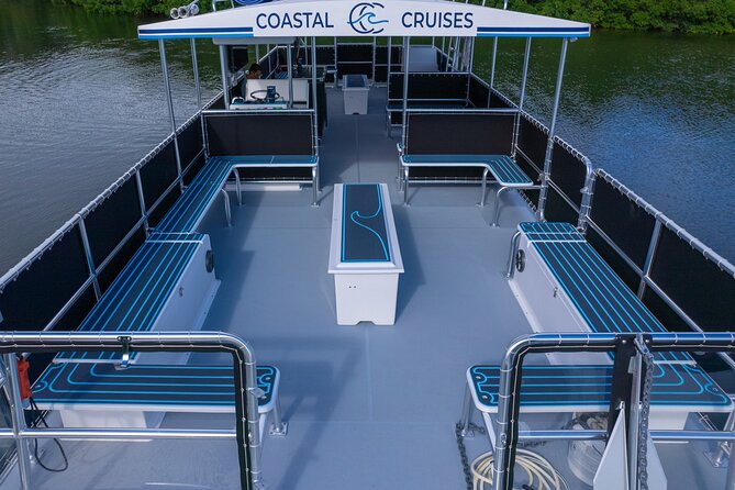St. Pete Dolphin Watching and Shelling Adventure - What happens if you stay aboard