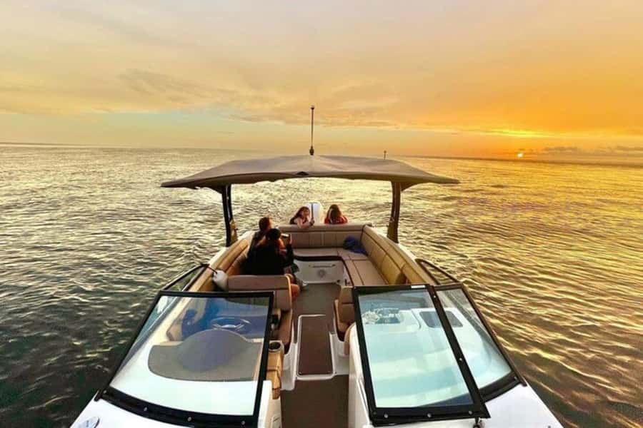 St. Petersburg: Private Barrier Island and Dolphin Boat Tour - Key points to know before you book