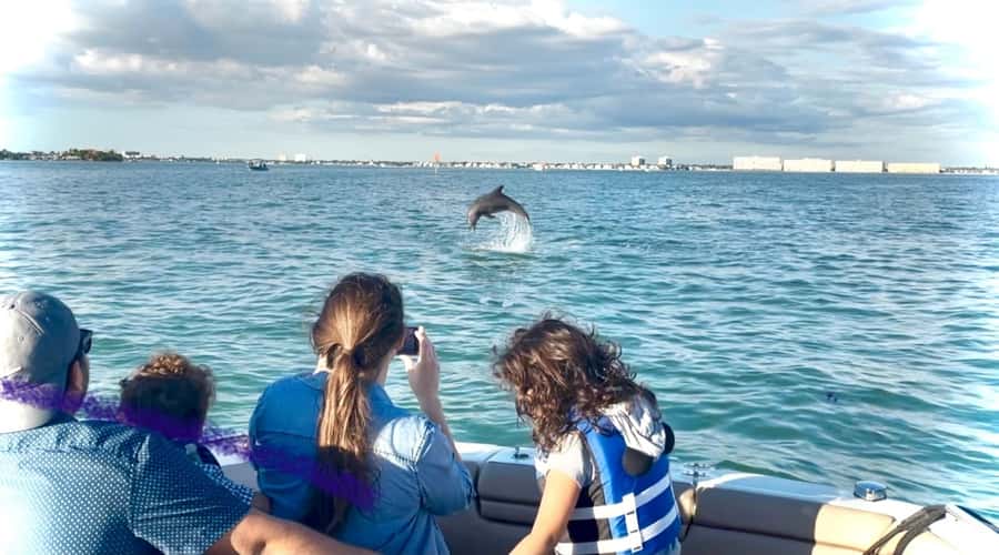 St. Petersburg: Private Barrier Island and Dolphin Boat Tour - Planning around timing and conditions