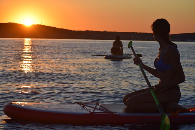Stand Up Paddle With Dolphins, aperitif and pictures - How dolphin watching works from a SUP