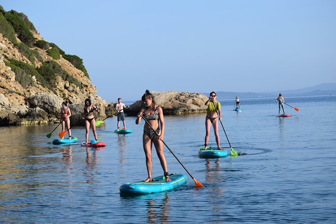 Stand Up Paddle With Dolphins, aperitif and pictures - Photos and videos are a real part of the value