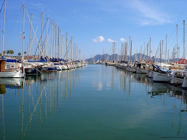 Sunrise Boat Trip in Mallorca with Dolphin-Watching - Key points before you book