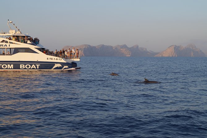 Sunrise Boat Trip in Mallorca with Dolphin-Watching - Comfort, weather, and seasickness