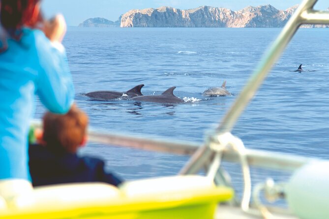 Sunrise Boat Trip in Mallorca with Dolphin-Watching - How the large group changes the experience