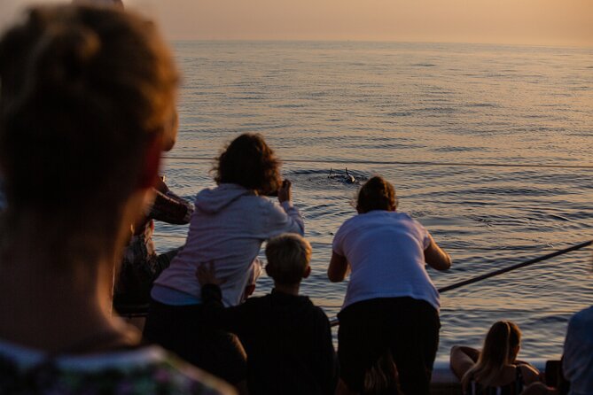 Sunrise Boat Trip in Mallorca with Dolphin-Watching - Booking and cancellation details